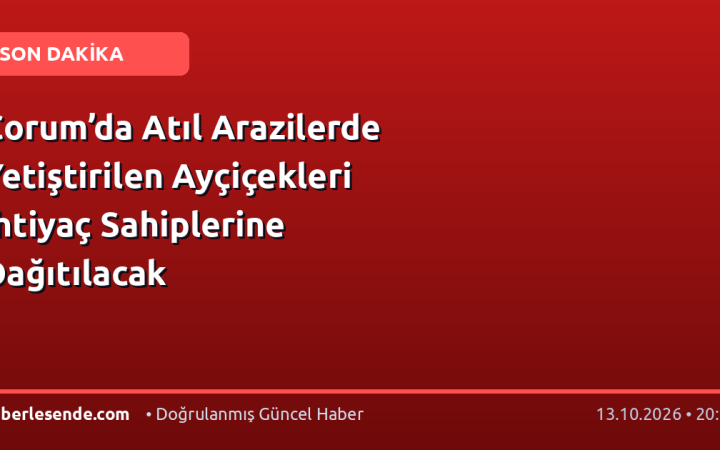 Çorum’da Atıl Arazilerde Yetiştirilen Ayçiçekleri İhtiyaç Sahiplerine Dağıtılacak