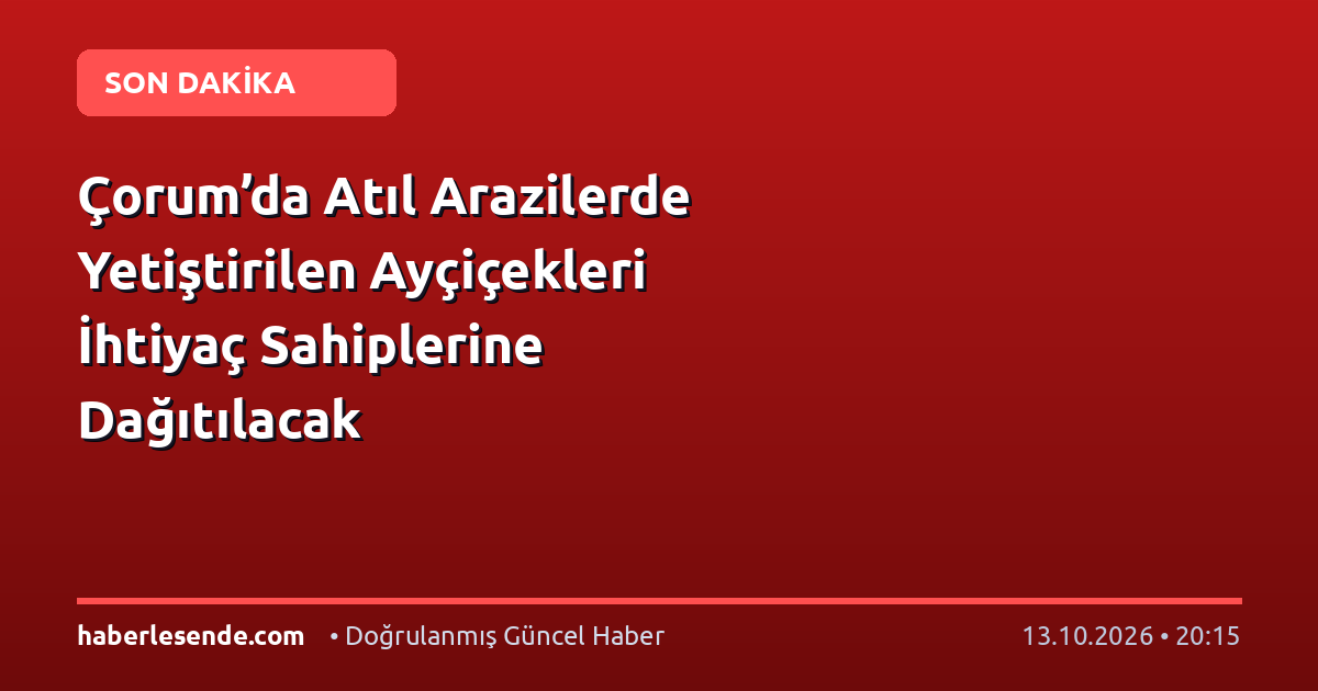 Çorum’da Atıl Arazilerde Yetiştirilen Ayçiçekleri İhtiyaç Sahiplerine Dağıtılacak