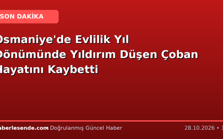 Osmaniye'de Evlilik Yıl Dönümünde Yıldırım Düşen Çoban Hayatını Kaybetti