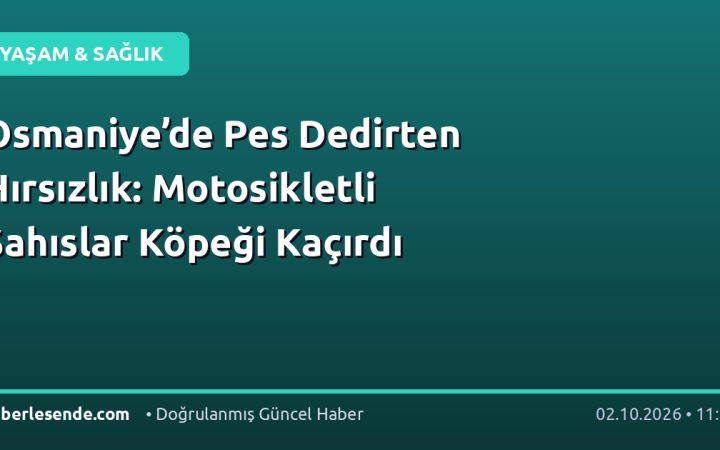 Osmaniye’de Pes Dedirten Hırsızlık: Motosikletli Şahıslar Köpeği Kaçırdı