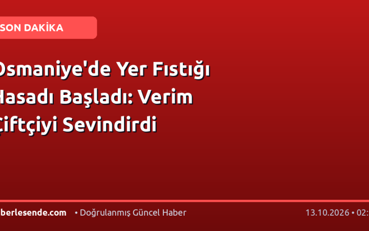 Osmaniye'de Yer Fıstığı Hasadı Başladı: Verim Çiftçiyi Sevindirdi