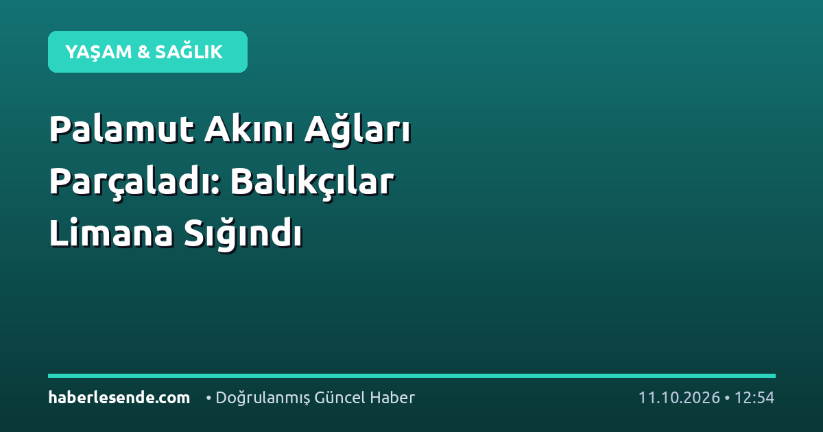 Palamut Akını Ağları Parçaladı: Balıkçılar Limana Sığındı