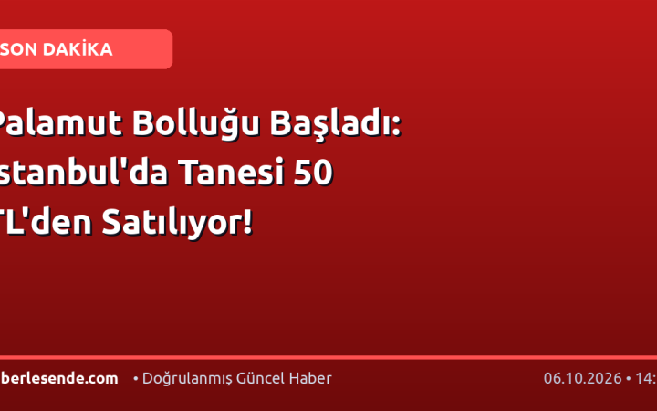 Palamut Bolluğu Başladı: İstanbul'da Tanesi 50 TL'den Satılıyor!