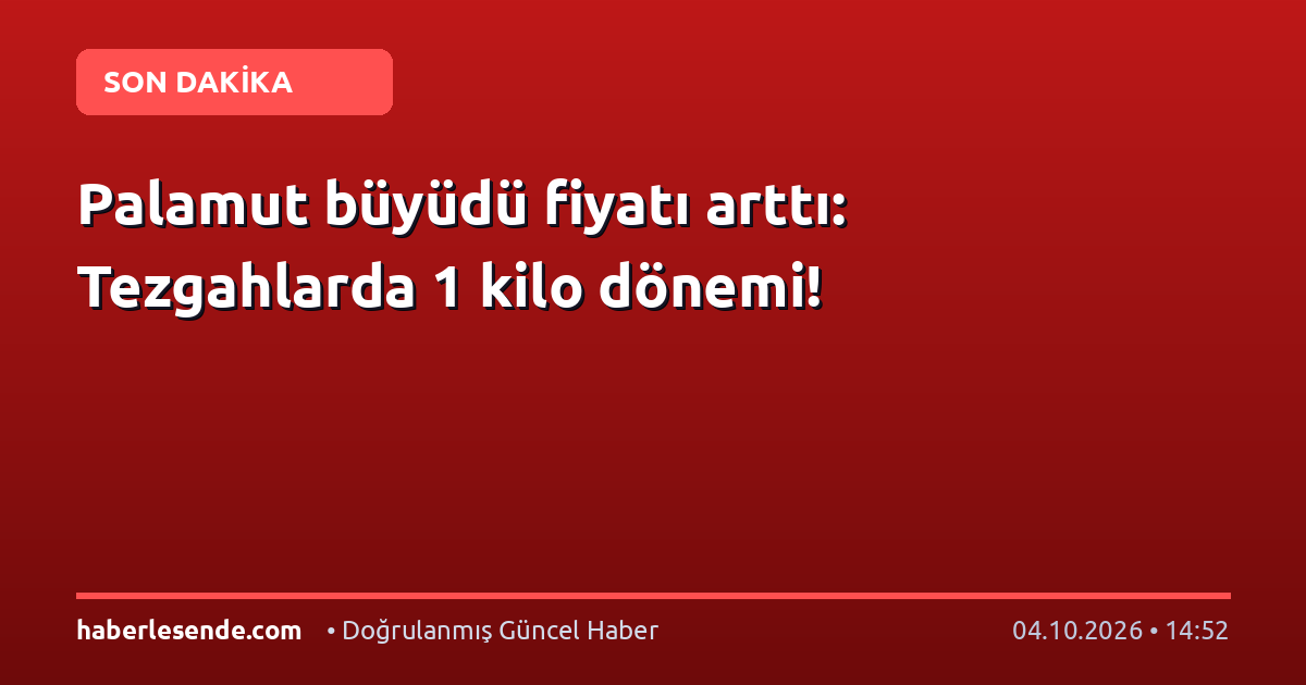 Palamut büyüdü fiyatı arttı: Tezgahlarda 1 kilo dönemi!