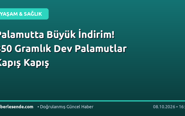 Palamutta Büyük İndirim! 850 Gramlık Dev Palamutlar Kapış Kapış