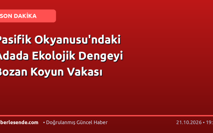 Pasifik Okyanusu'ndaki Adada Ekolojik Dengeyi Bozan Koyun Vakası