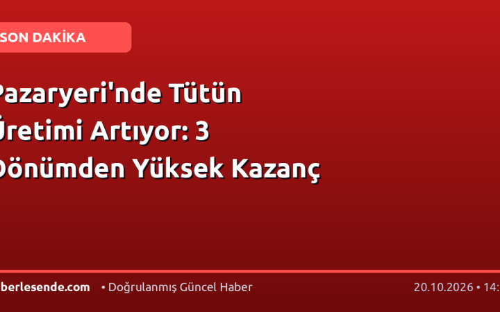Pazaryeri'nde Tütün Üretimi Artıyor: 3 Dönümden Yüksek Kazanç