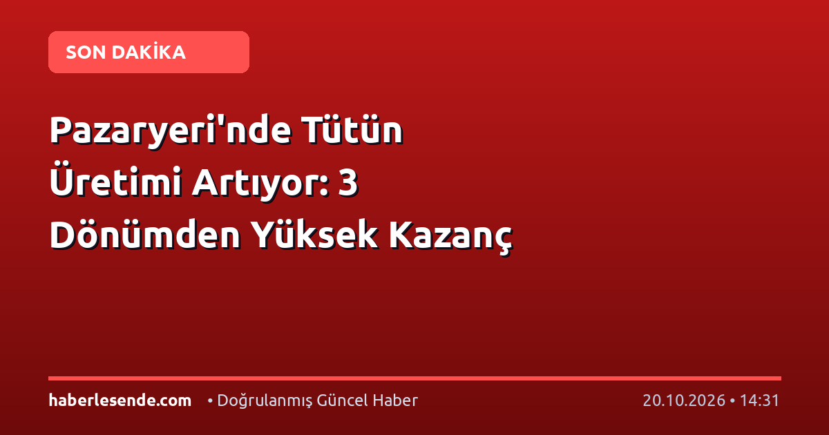 Pazaryeri'nde Tütün Üretimi Artıyor: 3 Dönümden Yüksek Kazanç