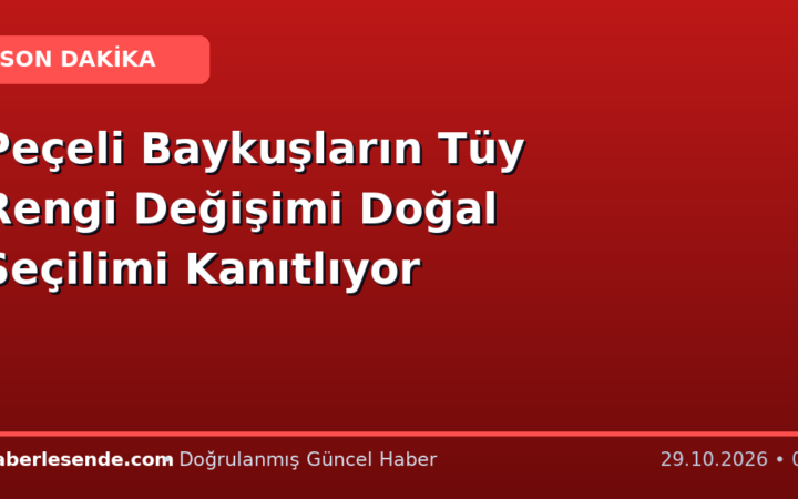 Peçeli Baykuşların Tüy Rengi Değişimi Doğal Seçilimi Kanıtlıyor