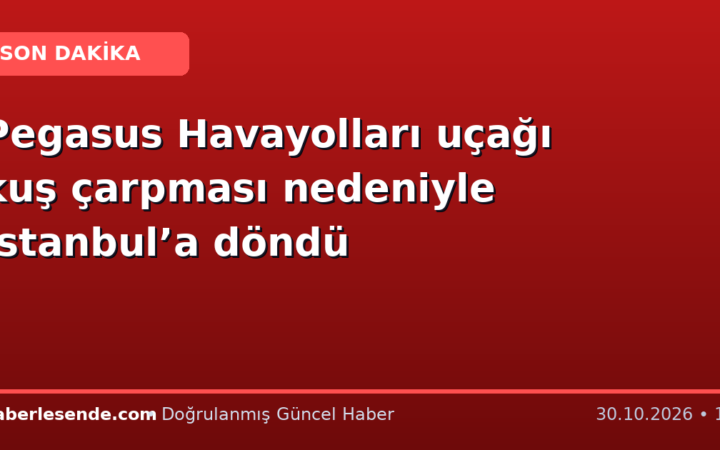 Pegasus Havayolları uçağı kuş çarpması nedeniyle İstanbul’a döndü
