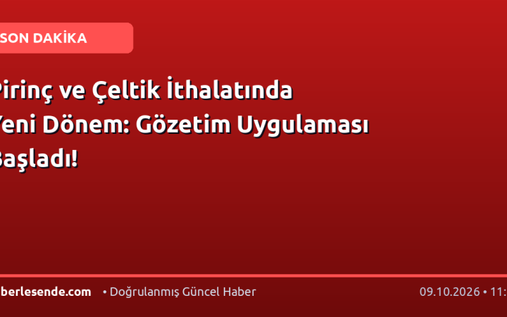 Pirinç ve Çeltik İthalatında Yeni Dönem: Gözetim Uygulaması Başladı!