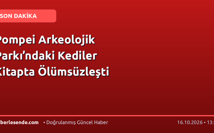 Pompei Arkeolojik Parkı’ndaki Kediler Kitapta Ölümsüzleşti