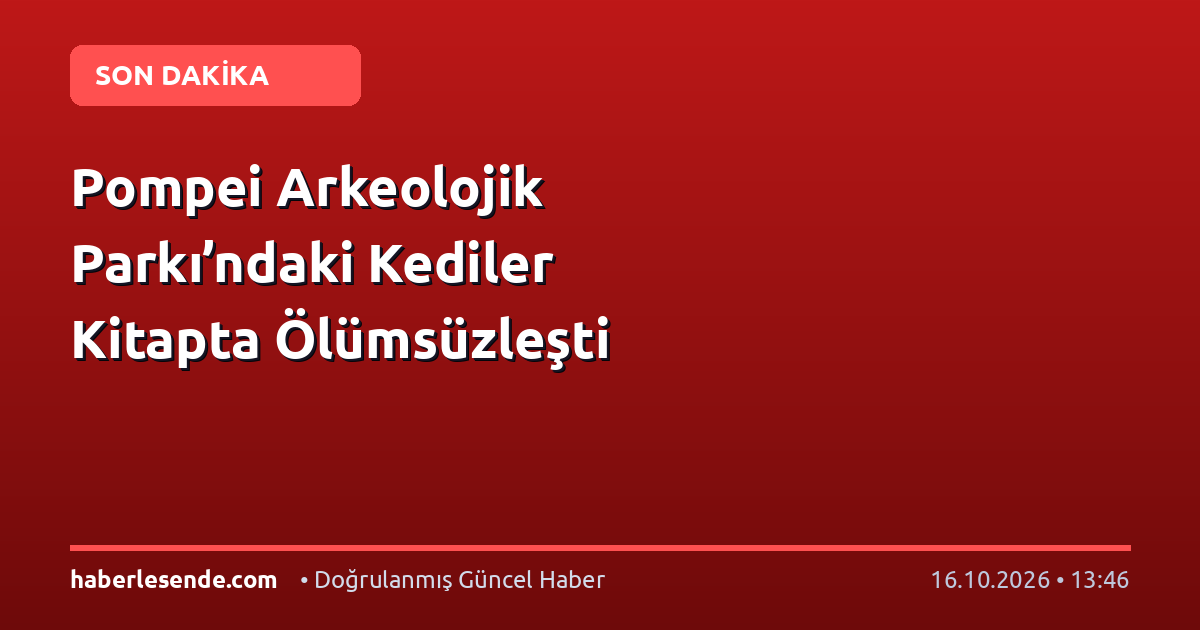 Pompei Arkeolojik Parkı’ndaki Kediler Kitapta Ölümsüzleşti