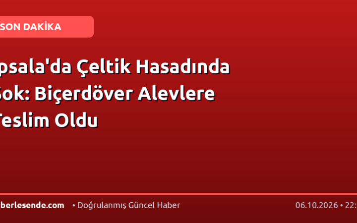 İpsala'da Çeltik Hasadında Şok: Biçerdöver Alevlere Teslim Oldu