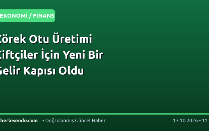 Çörek Otu Üretimi Çiftçiler İçin Yeni Bir Gelir Kapısı Oldu