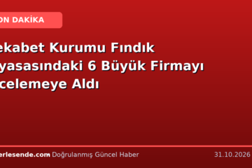 Rekabet Kurumu Fındık Piyasasındaki 6 Büyük Firmayı İncelemeye Aldı