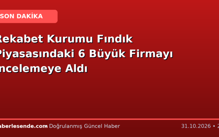 Rekabet Kurumu Fındık Piyasasındaki 6 Büyük Firmayı İncelemeye Aldı