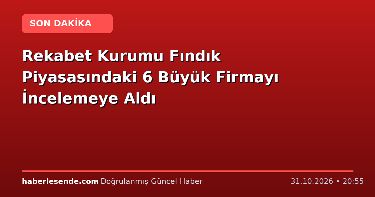 Rekabet Kurumu Fındık Piyasasındaki 6 Büyük Firmayı İncelemeye Aldı