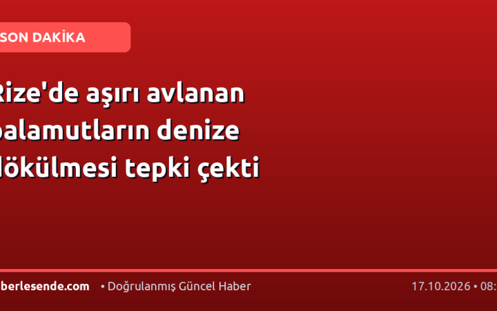Rize'de aşırı avlanan palamutların denize dökülmesi tepki çekti