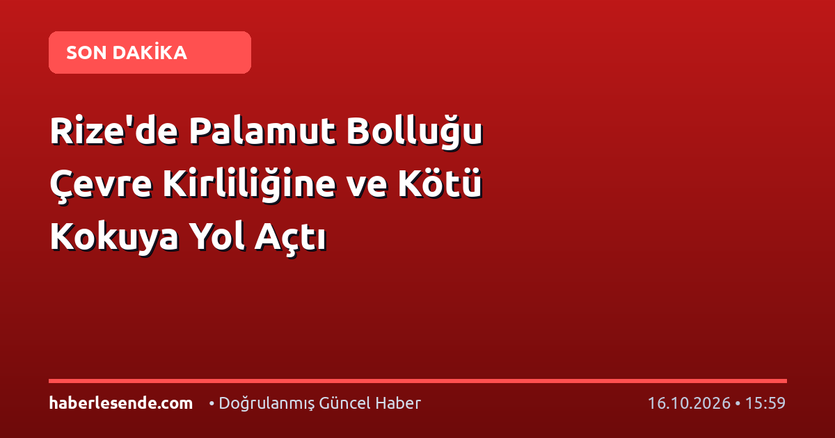 Rize'de Palamut Bolluğu Çevre Kirliliğine ve Kötü Kokuya Yol Açtı