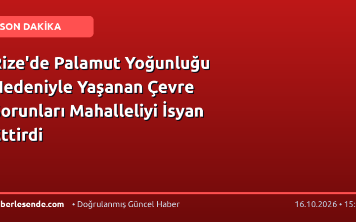 Rize'de Palamut Yoğunluğu Nedeniyle Yaşanan Çevre Sorunları Mahalleliyi İsyan Ettirdi