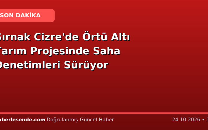 Şırnak Cizre'de Örtü Altı Tarım Projesinde Saha Denetimleri Sürüyor