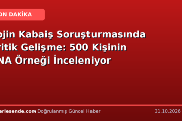 Rojin Kabaiş Soruşturmasında Kritik Gelişme: 500 Kişinin DNA Örneği İnceleniyor