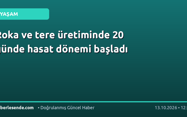 Roka ve tere üretiminde 20 günde hasat dönemi başladı