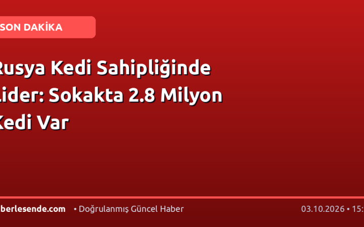 Rusya Kedi Sahipliğinde Lider: Sokakta 2.8 Milyon Kedi Var