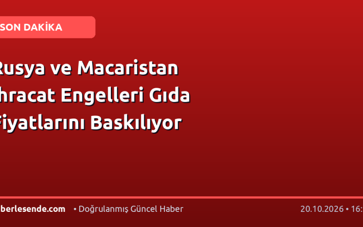 Rusya ve Macaristan İhracat Engelleri Gıda Fiyatlarını Baskılıyor