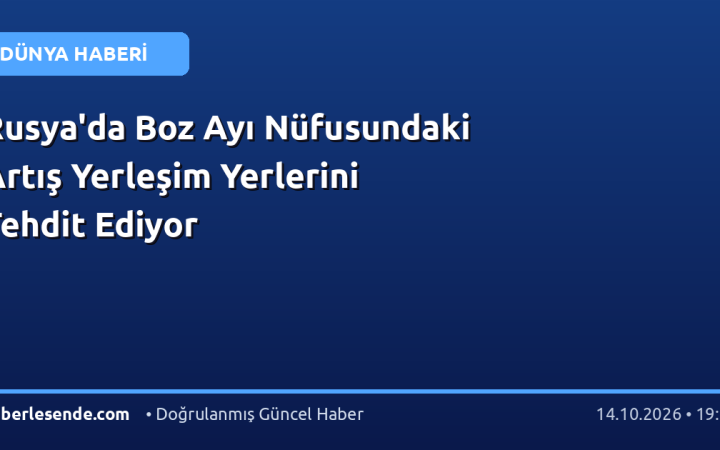 Rusya'da Boz Ayı Nüfusundaki Artış Yerleşim Yerlerini Tehdit Ediyor
