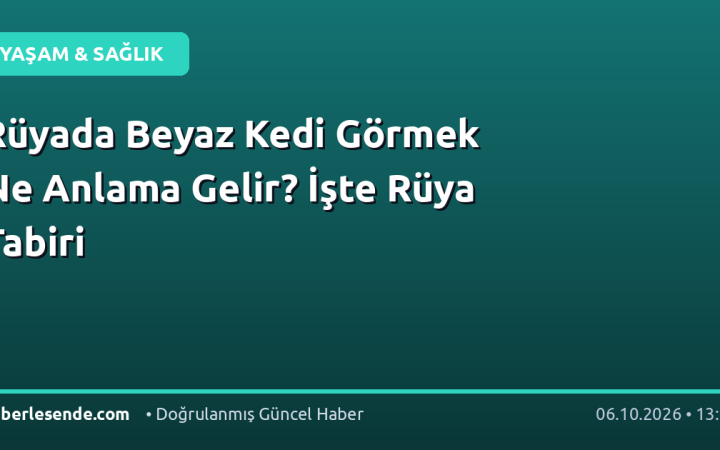 Rüyada Beyaz Kedi Görmek Ne Anlama Gelir? İşte Rüya Tabiri