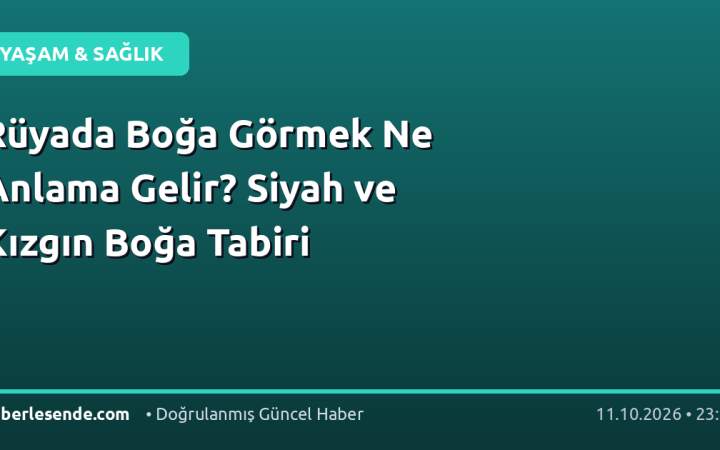 Rüyada Boğa Görmek Ne Anlama Gelir? Siyah ve Kızgın Boğa Tabiri