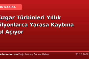 Rüzgar Türbinleri Yıllık Milyonlarca Yarasa Kaybına Yol Açıyor