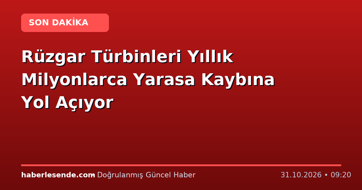 Rüzgar Türbinleri Yıllık Milyonlarca Yarasa Kaybına Yol Açıyor