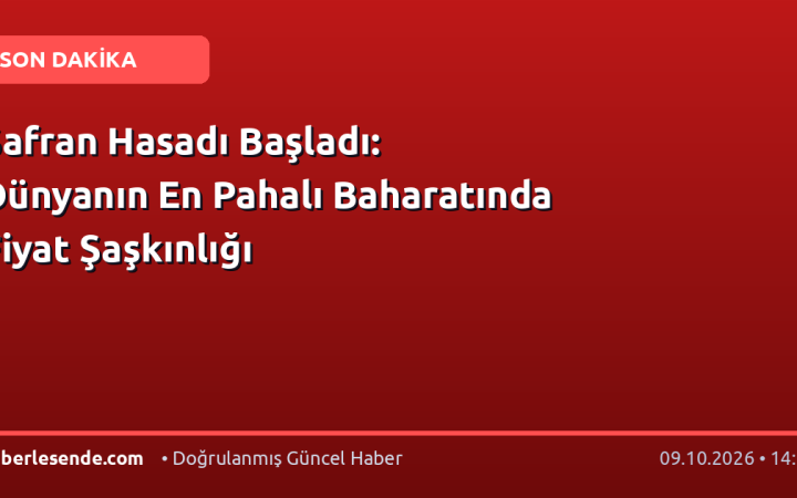Safran Hasadı Başladı: Dünyanın En Pahalı Baharatında Fiyat Şaşkınlığı