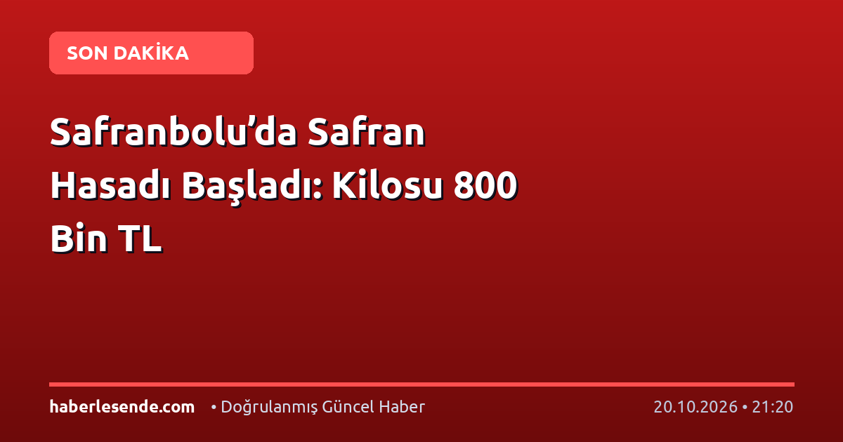 Safranbolu’da Safran Hasadı Başladı: Kilosu 800 Bin TL