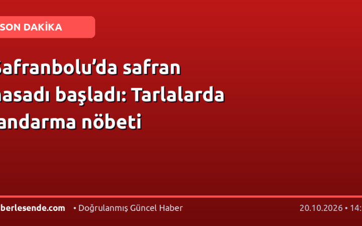 Safranbolu’da safran hasadı başladı: Tarlalarda jandarma nöbeti