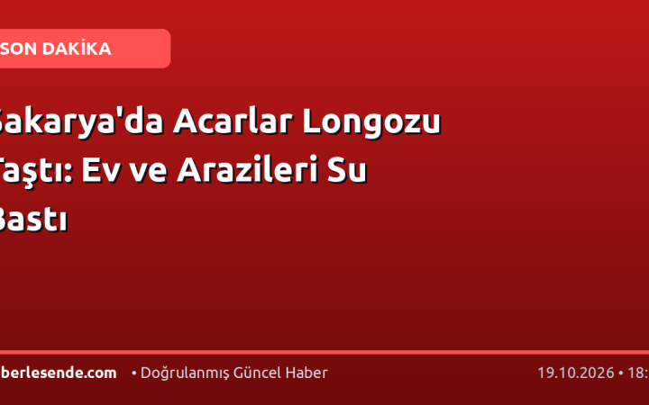 Sakarya'da Acarlar Longozu Taştı: Ev ve Arazileri Su Bastı
