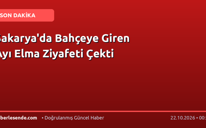 Sakarya'da Bahçeye Giren Ayı Elma Ziyafeti Çekti