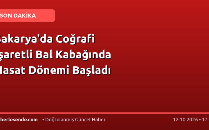 Sakarya'da Coğrafi İşaretli Bal Kabağında Hasat Dönemi Başladı
