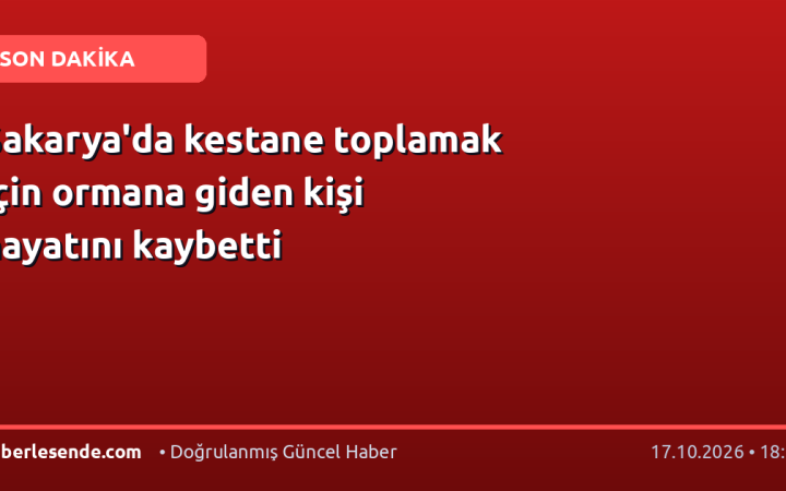 Sakarya'da kestane toplamak için ormana giden kişi hayatını kaybetti