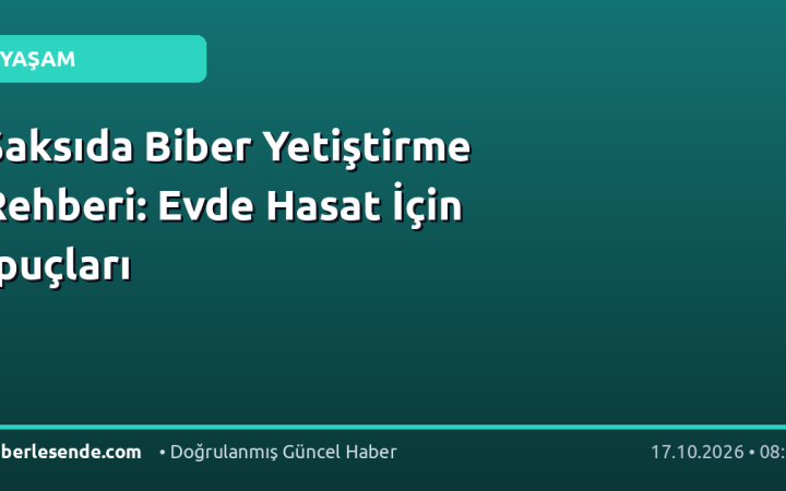 Saksıda Biber Yetiştirme Rehberi: Evde Hasat İçin İpuçları