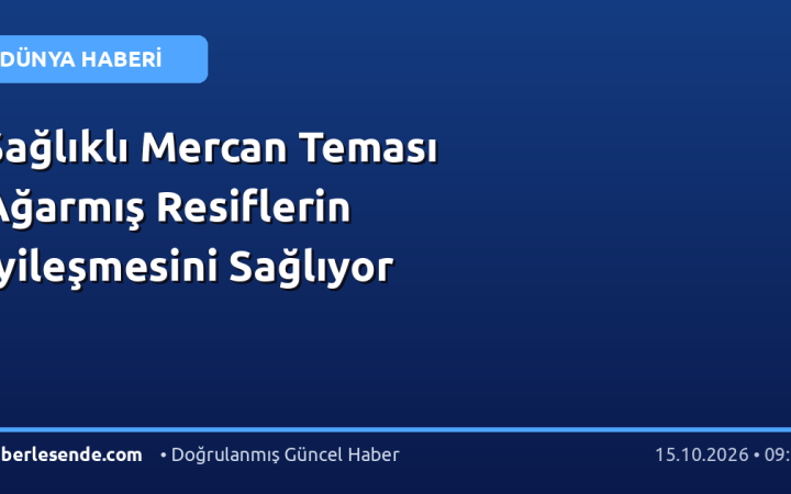 Sağlıklı Mercan Teması Ağarmış Resiflerin İyileşmesini Sağlıyor