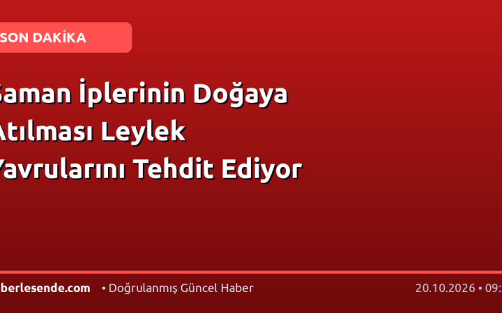 Saman İplerinin Doğaya Atılması Leylek Yavrularını Tehdit Ediyor