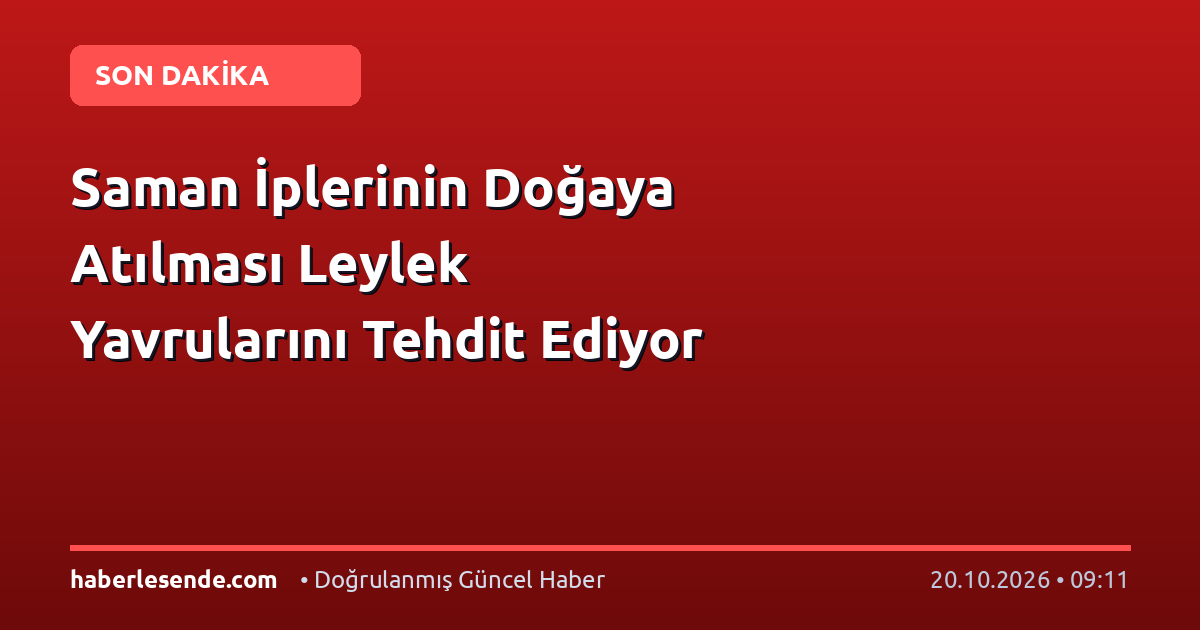 Saman İplerinin Doğaya Atılması Leylek Yavrularını Tehdit Ediyor