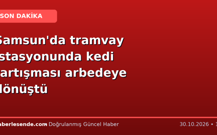 Samsun'da tramvay istasyonunda kedi tartışması arbedeye dönüştü