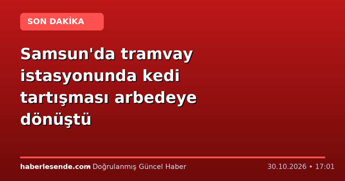 Samsun'da tramvay istasyonunda kedi tartışması arbedeye dönüştü