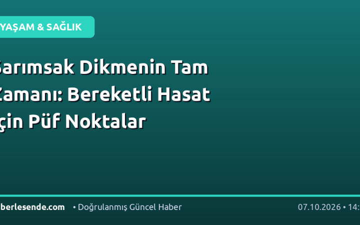Sarımsak Dikmenin Tam Zamanı: Bereketli Hasat İçin Püf Noktalar