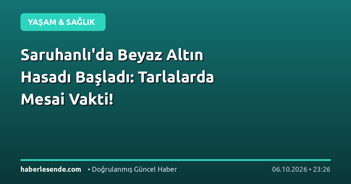 Saruhanlı'da Beyaz Altın Hasadı Başladı: Tarlalarda Mesai Vakti!